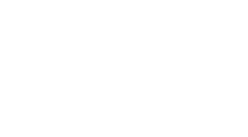 Vivace Maxvictor